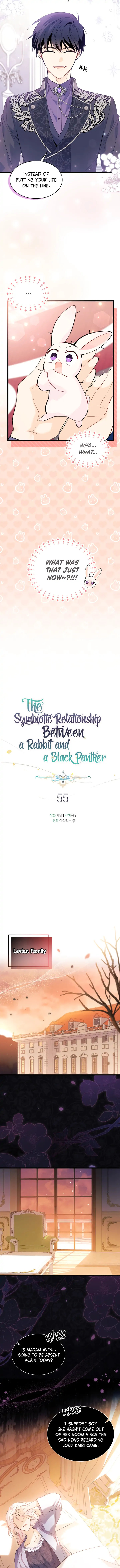 The Symbiotic Relationship Between A Rabbit and A Black Panther Chapter 55 - Page 6