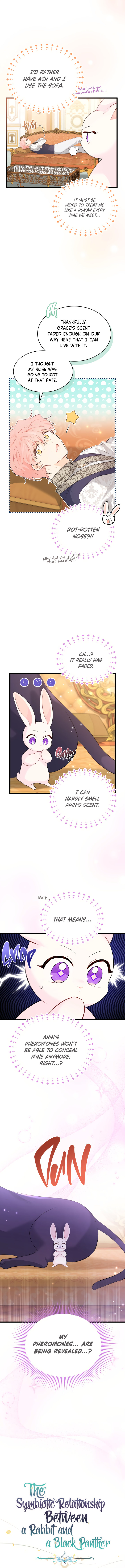 The Symbiotic Relationship Between A Rabbit and A Black Panther Chapter 63 - Page 3