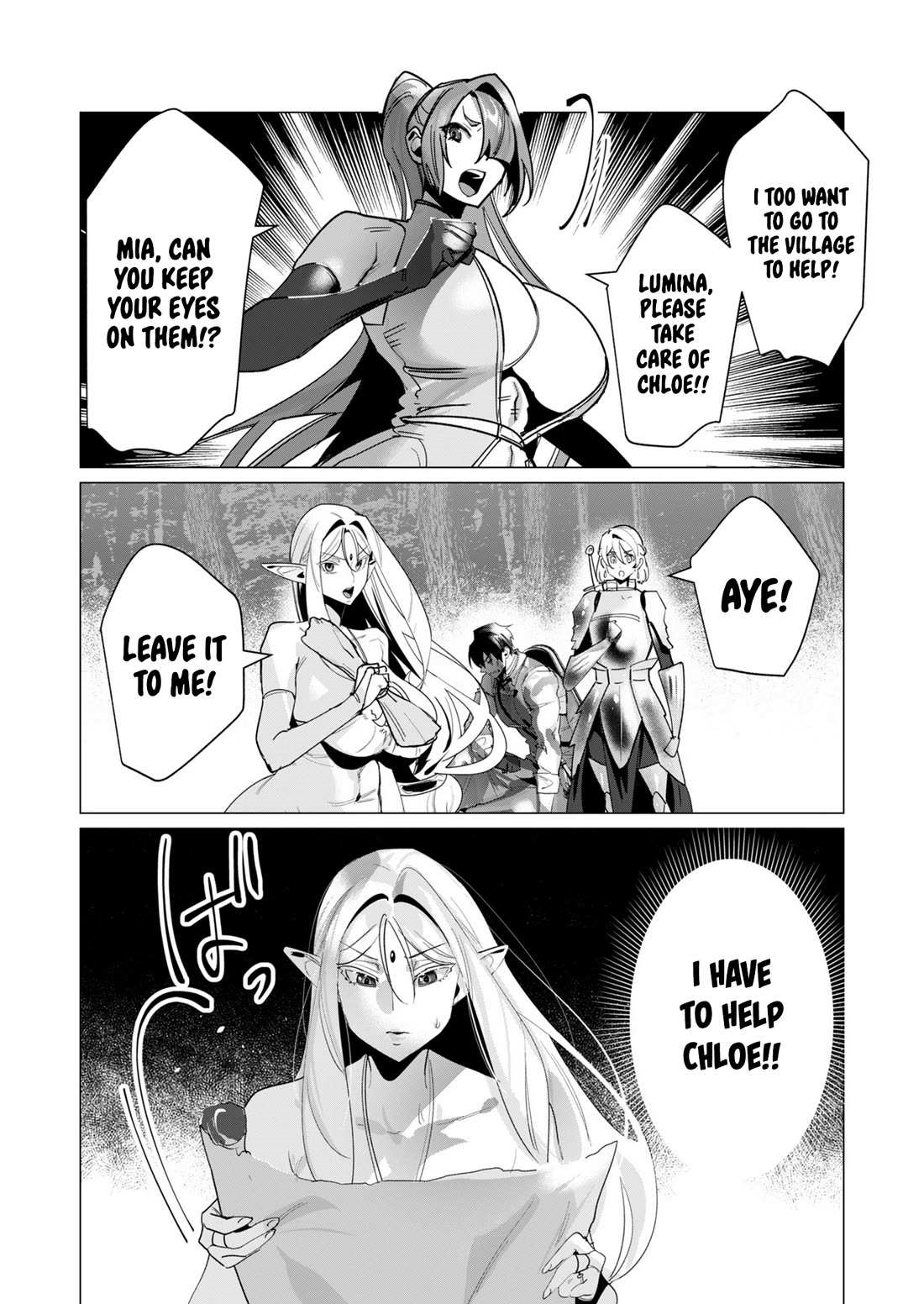 The Hero Wants a Married Woman as a Reward Chapter 17 - Page 12